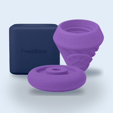 Tough Chewer Bundle: Freezbox, FreezCone and FreezDoughnut